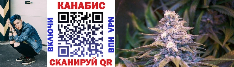 МАРИХУАНА сатива Сочи